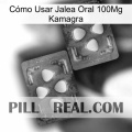 Cómo Usar Jalea Oral 100Mg Kamagra 15